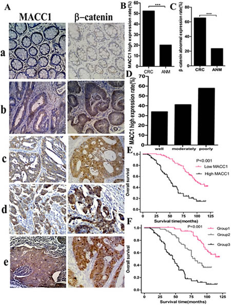 fig2
