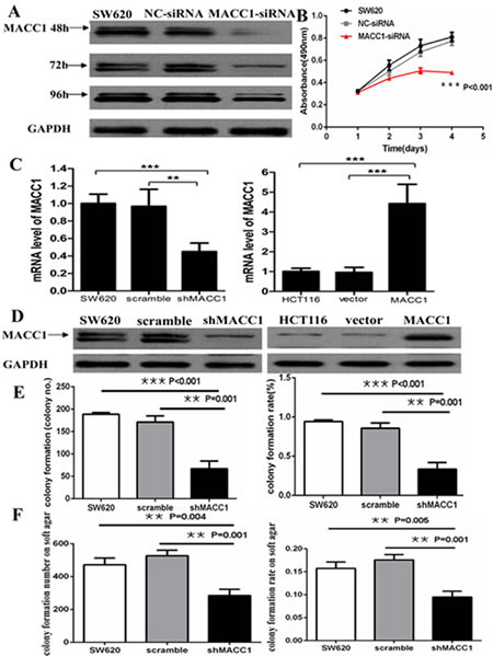 fig3