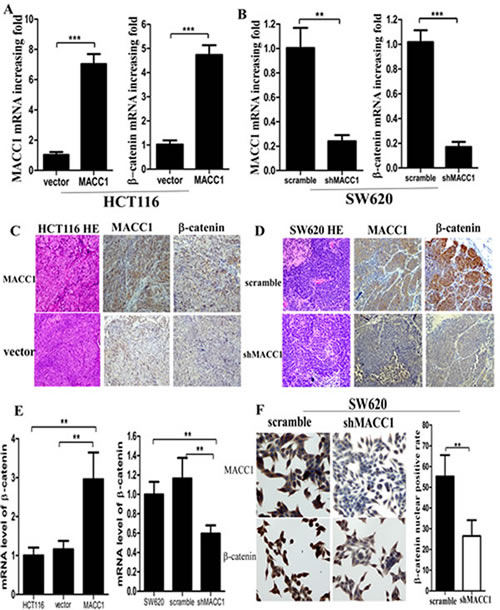 fig6