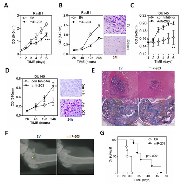 fig2