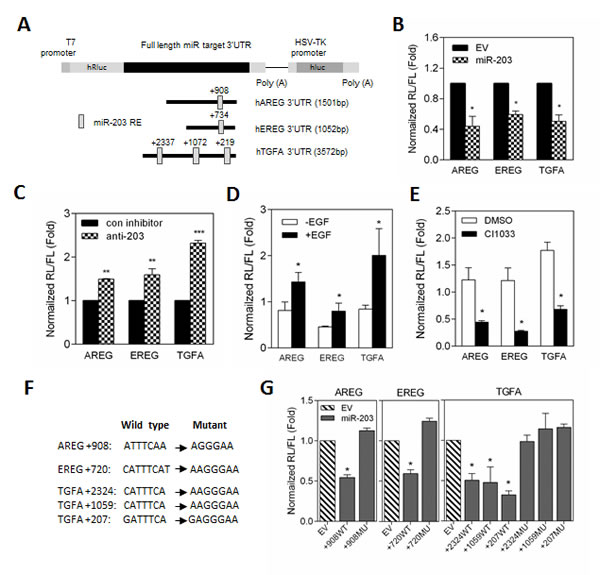 fig4