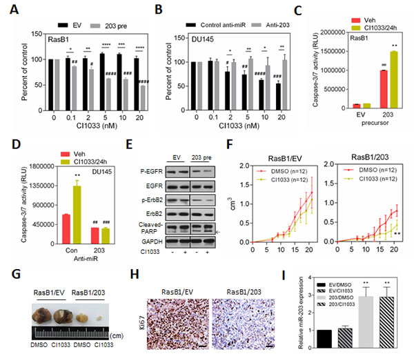 fig6