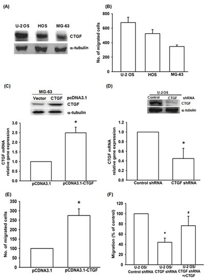 fig1
