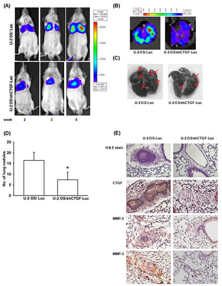 fig6