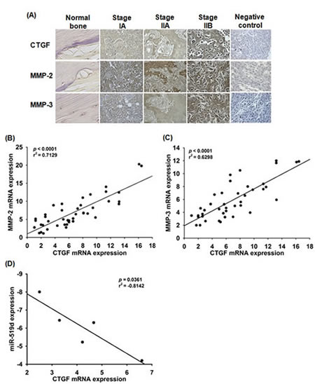 fig6