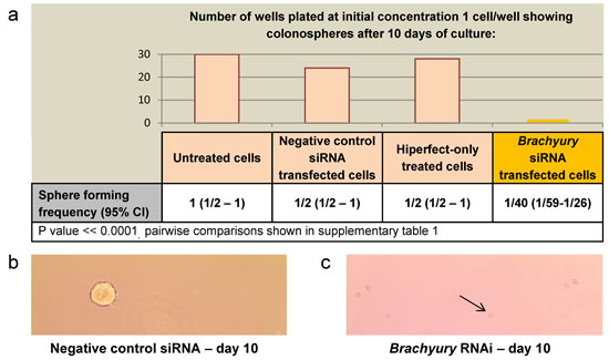 fig1