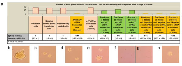 fig4