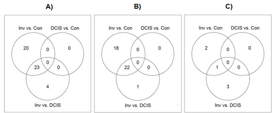 fig2