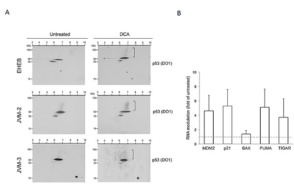 fig3