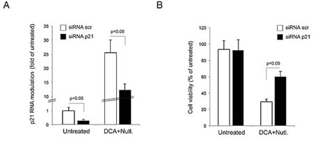 fig6
