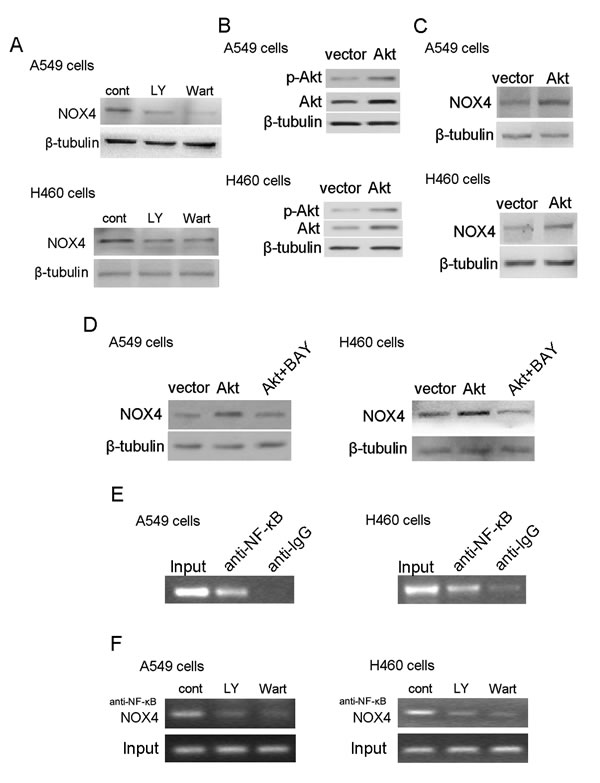 fig6