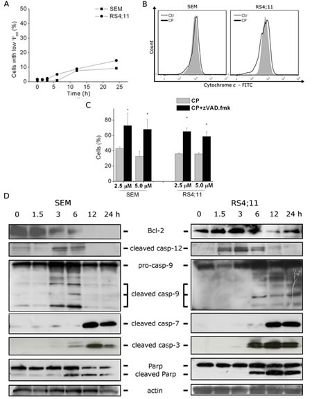 fig2