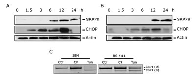 fig4