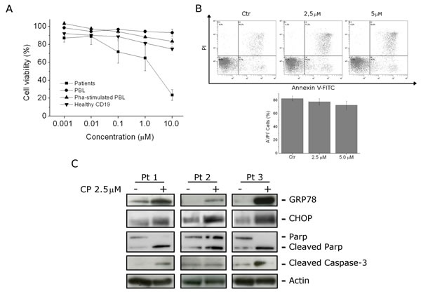 fig6