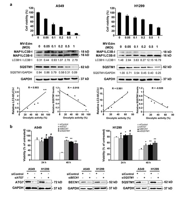 fig2