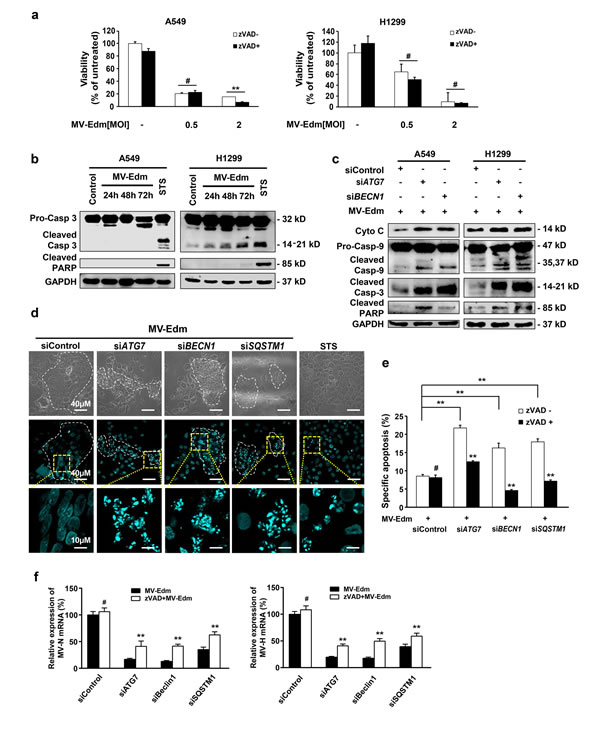 fig3