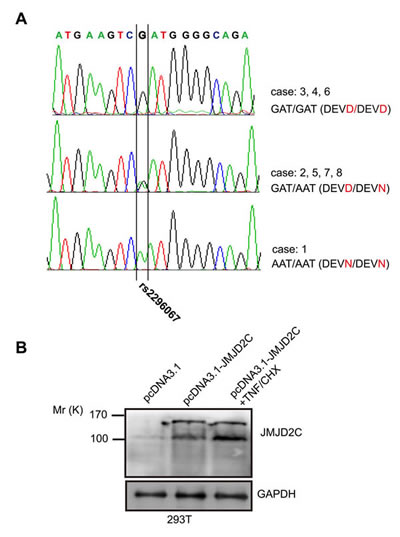 fig2