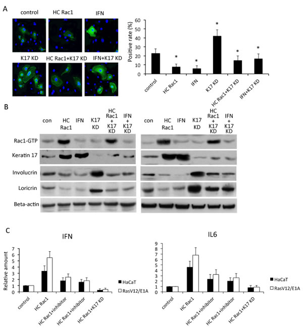 fig3