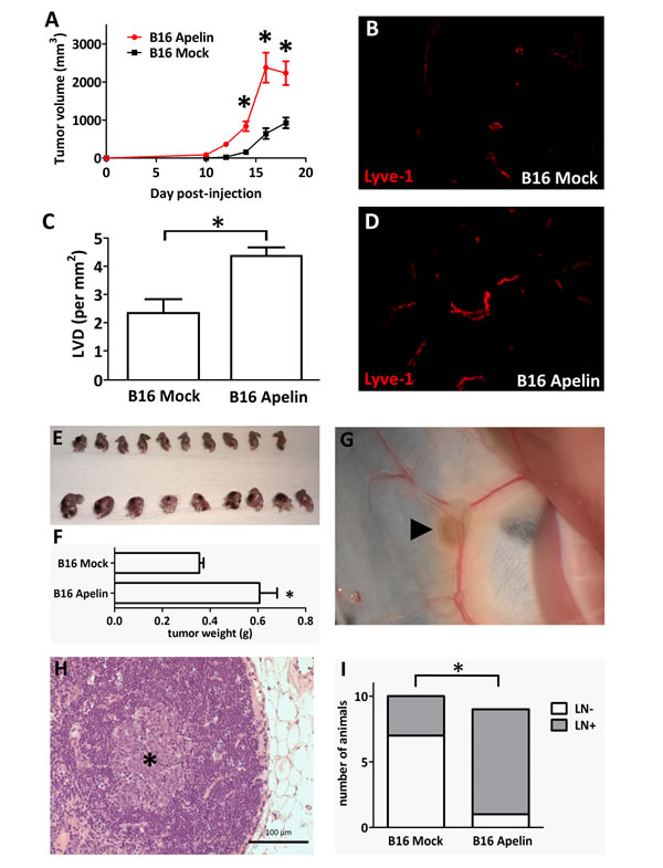 fig6