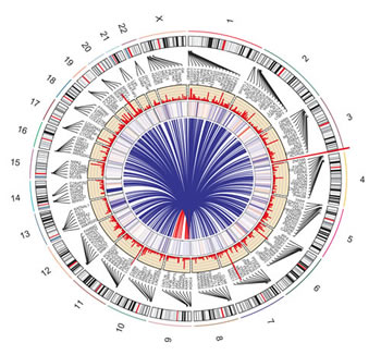 fig3