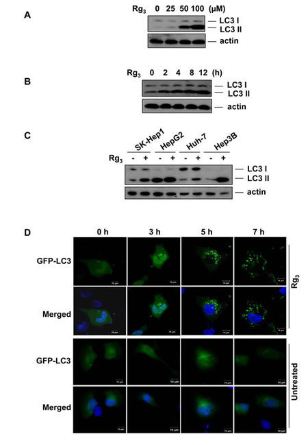 fig1