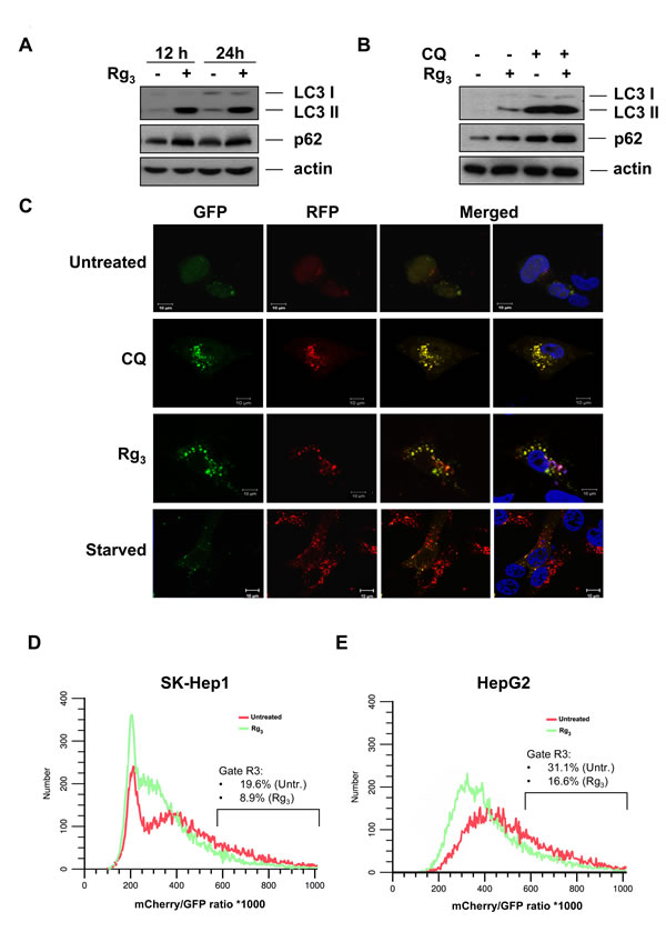 fig2