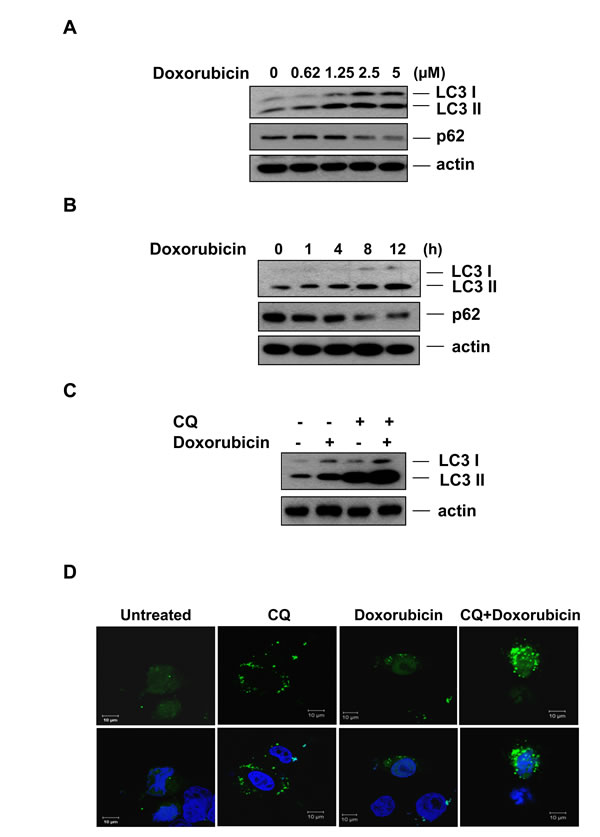 fig3