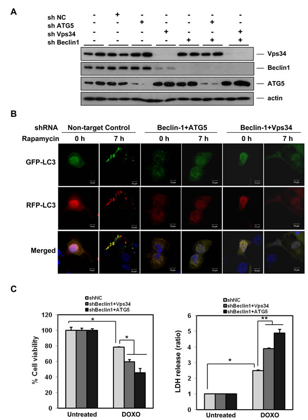 fig4