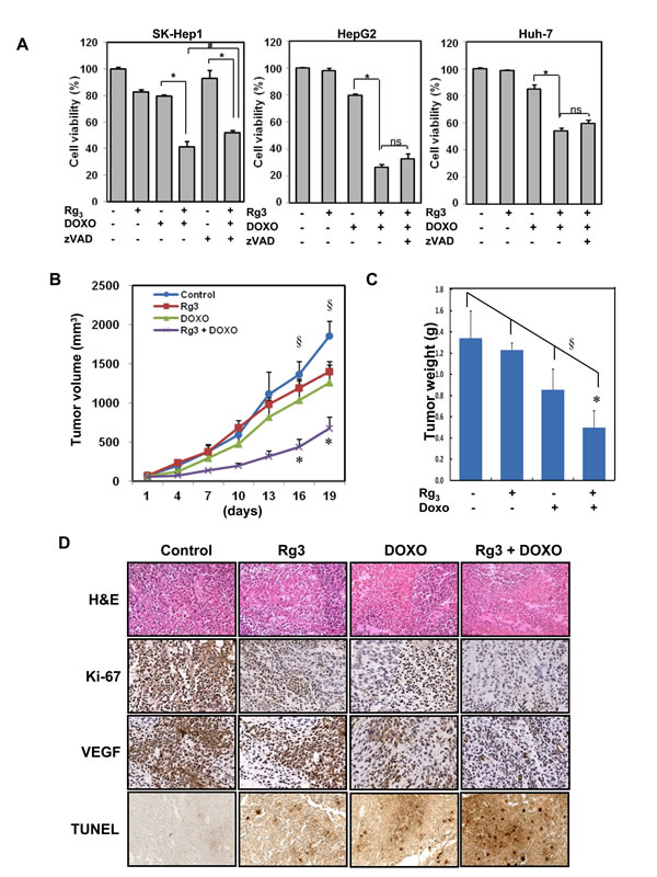 fig6