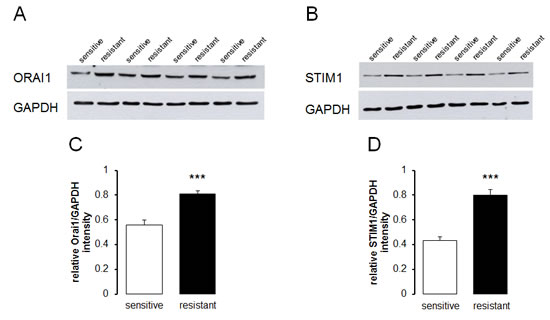 fig2