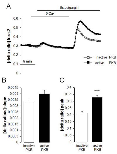 fig6