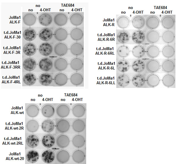 fig4