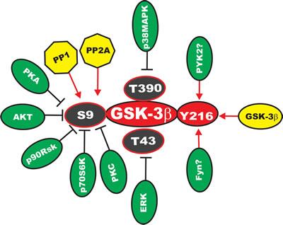 fig2