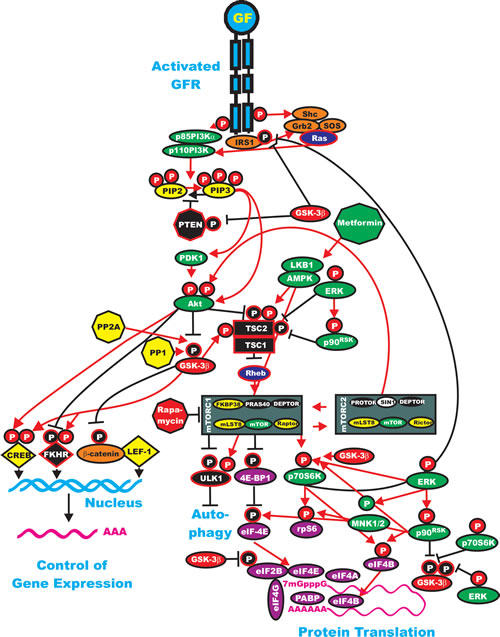 fig3