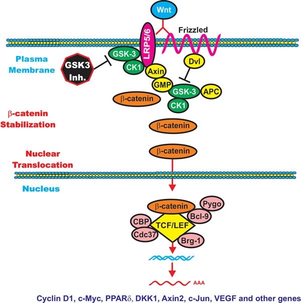 fig4