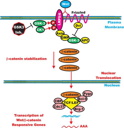 fig6