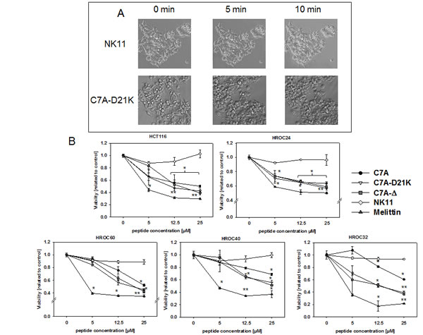 fig3