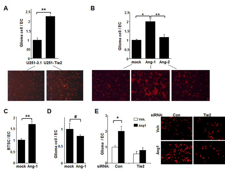 Figure 1.pdf