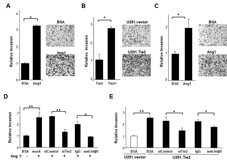 Figure 3.pdf