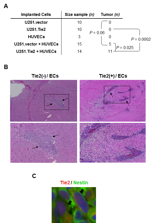 Figure 5.pdf