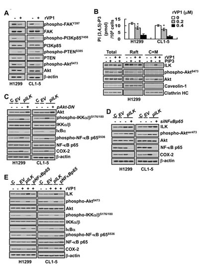 fig3