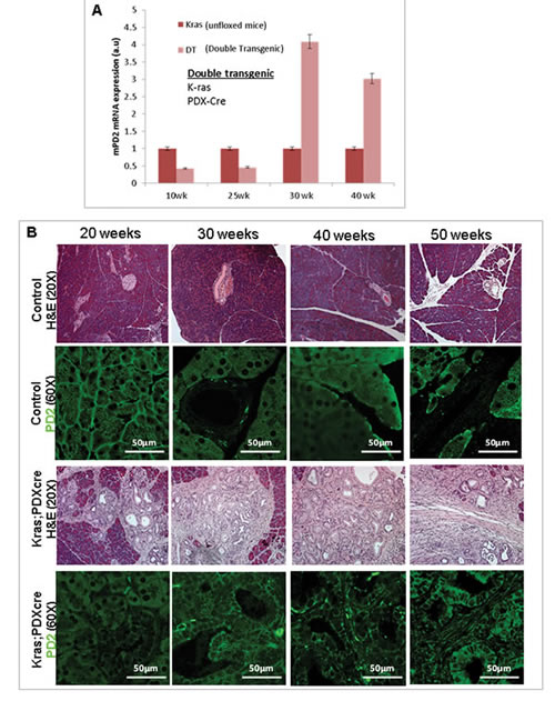 FIG1AB