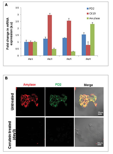 fig 3AB