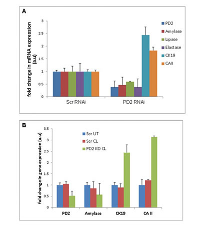 fig4Ab