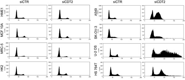fig2