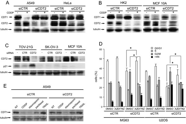fig3