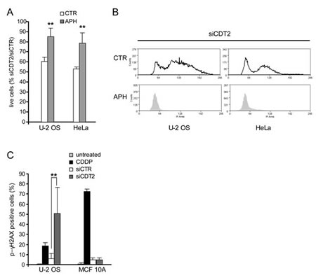 fig4