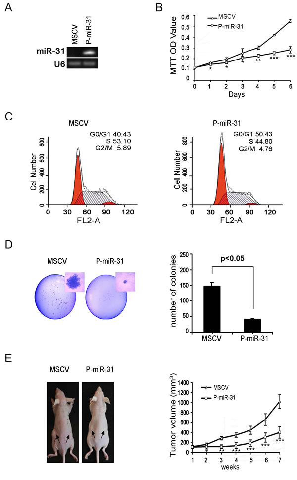 fig2