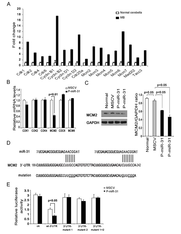 fig3