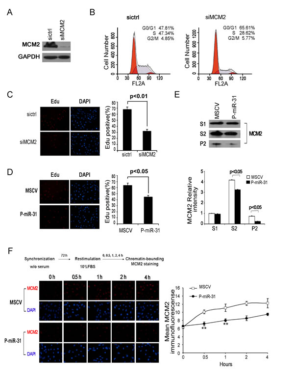 fig4